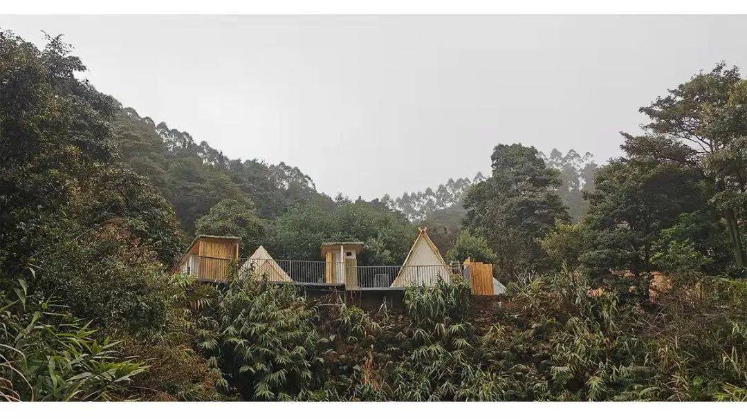 藏在清远这座云海中山顶茶园民宿,躺在床上看云海日出丨壹山茶舍_房间