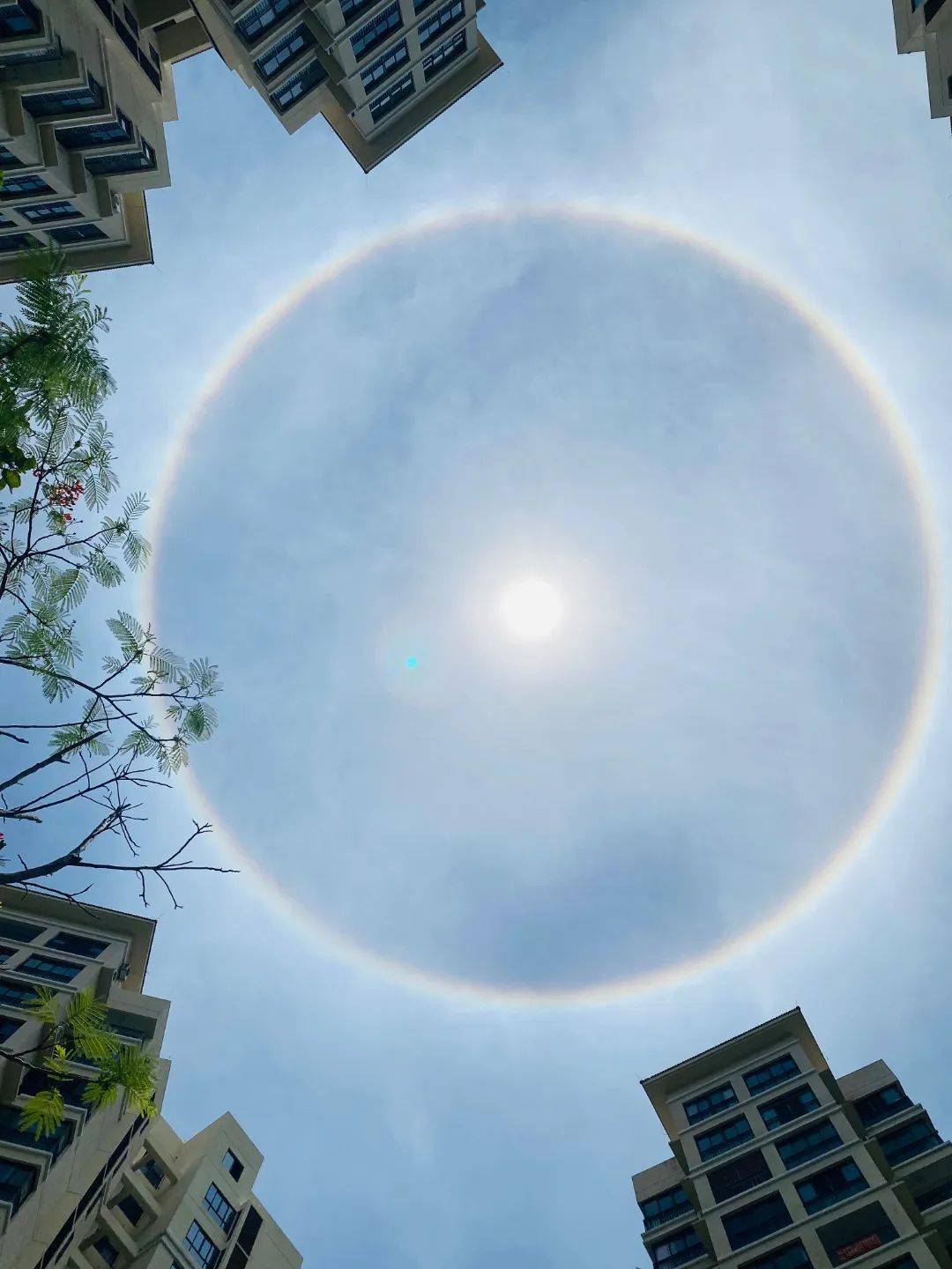 今日东方天空现日晕奇观