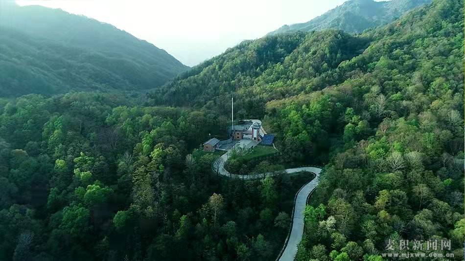 麦积区东岔镇桃花沟依托山水资源做活乡村旅游