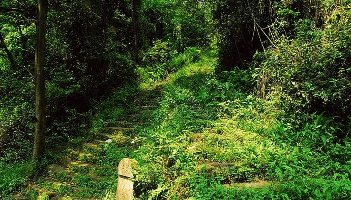 云雾_古道_白云寨