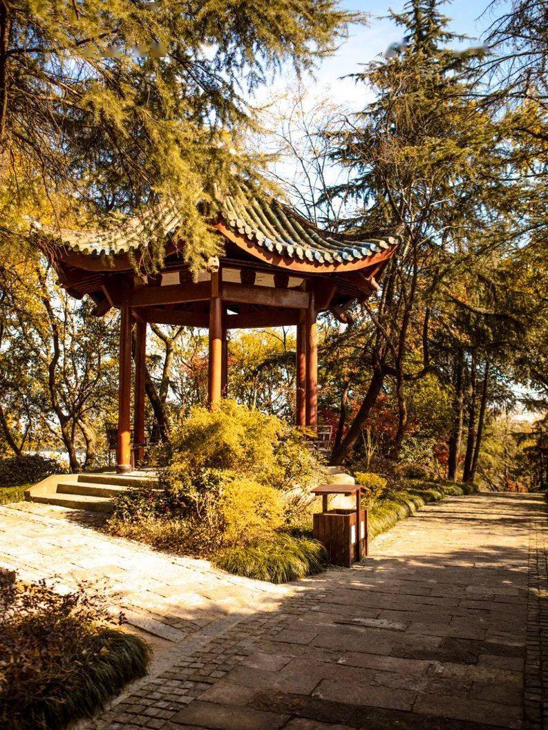 瓶窑镇_湿地_长乐