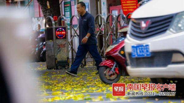 初夏时节南宁街道上黄叶纷飞，市民感叹：我穿越了？