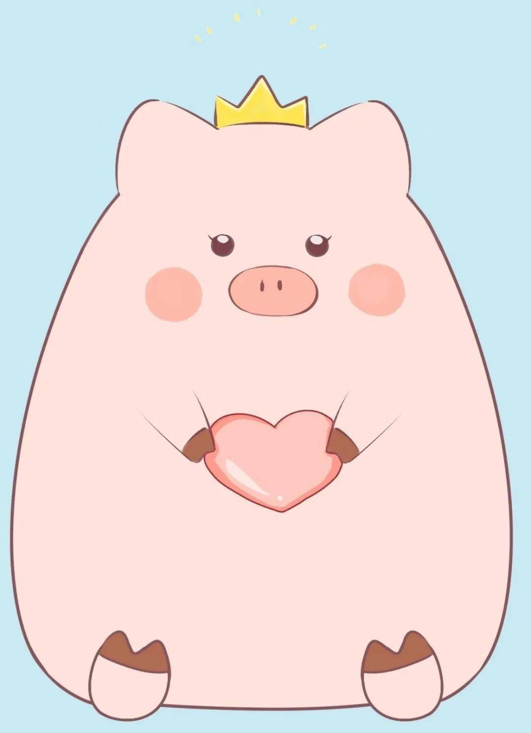 When pigs fly”可不是“猪飞起来了”！真正含义和中文这个谚语有异曲同工之妙！_搜狐网