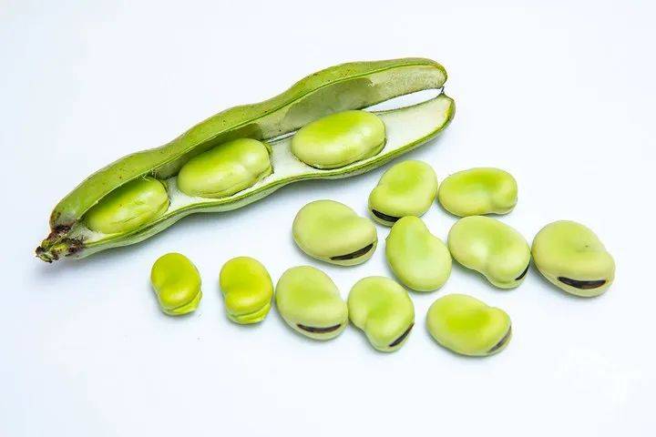 大豆_杂豆_鲁迅