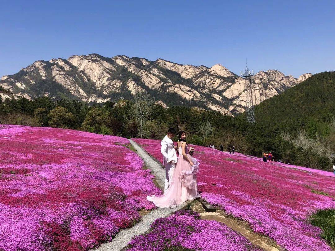 赏花游昆嵛山石门里大巴一日游