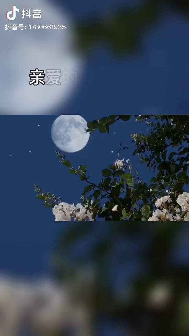 夜晚思念更浓我想你了