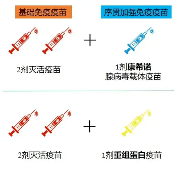 天津康希諾公司的腺病毒載體疫苗或安徽智飛龍科馬公司的重組蛋白疫苗