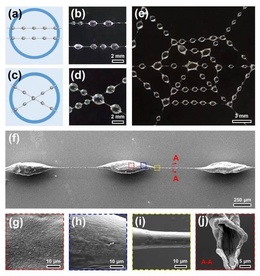 西南交大孟涛教授团队研发的超强仿生蜘蛛丝规模化高效