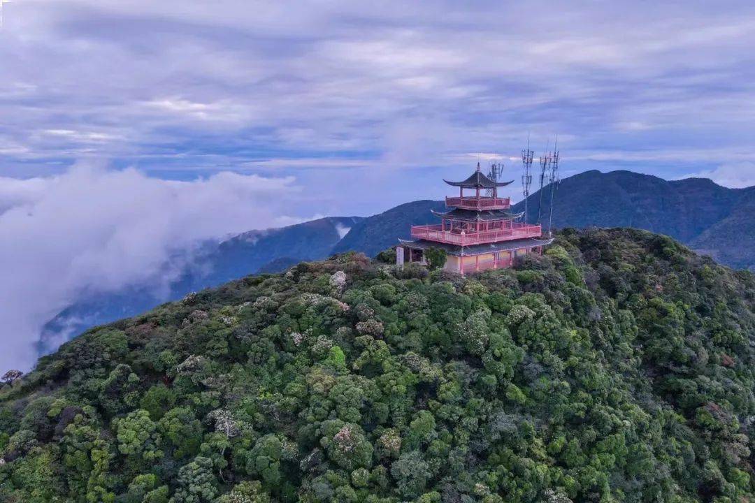 5月,金秀约会美丽_圣堂山_活动_杜鹃花