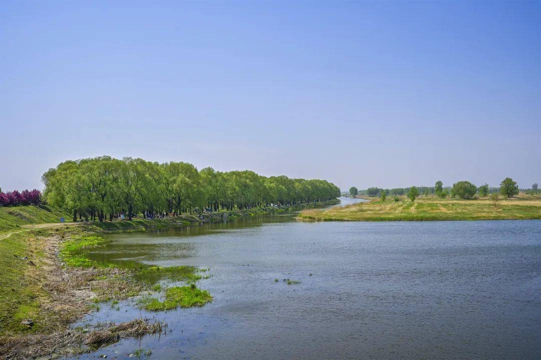 沈北七星湿地公园位置图片