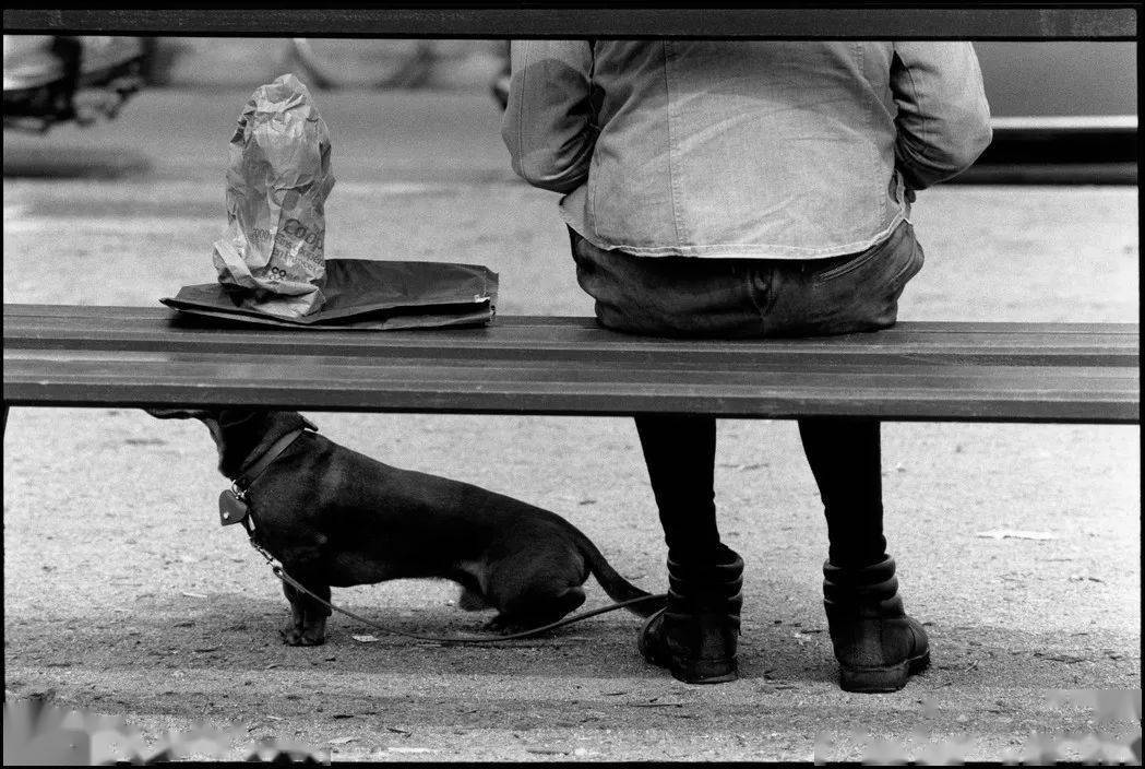 艾略特厄威特elliotterwitt