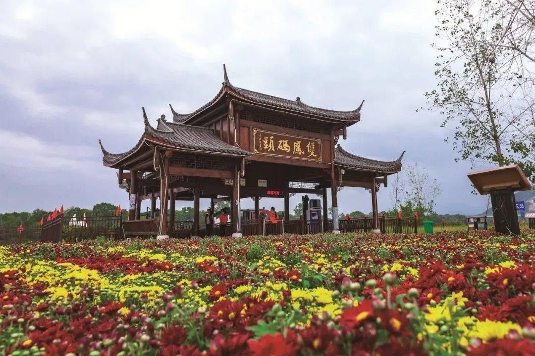 坝溪美食村,仁和店古村,桃花岛,荷风雅韵卧虎岭,g16潮流商业街_吉水县