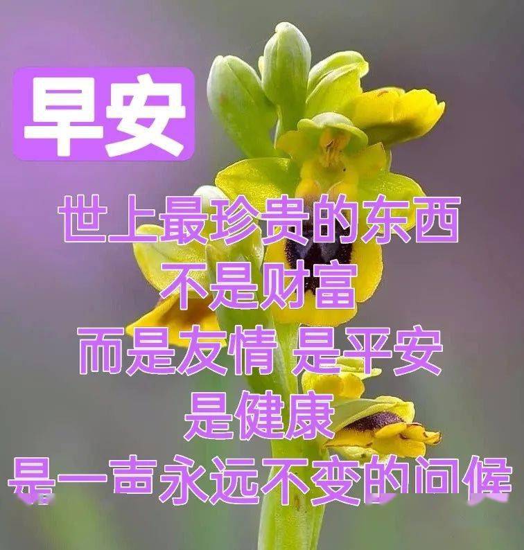 祝福_陽光_鳥兒