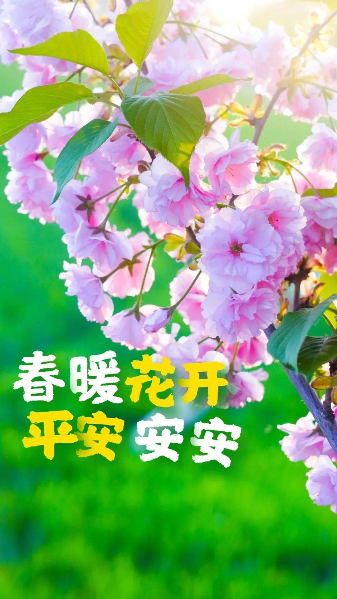 每日一句正能量鼓励句子_一生_给予_险阻