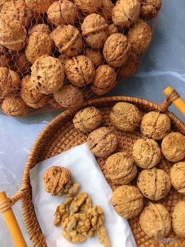 鲜食核桃早硕的高接换种和管理技术_接穗_cm_进行