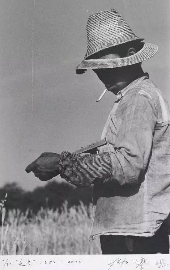 已故纪实摄影家凤翔乡党侯登科的麦客