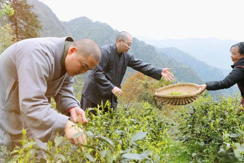 峨眉山