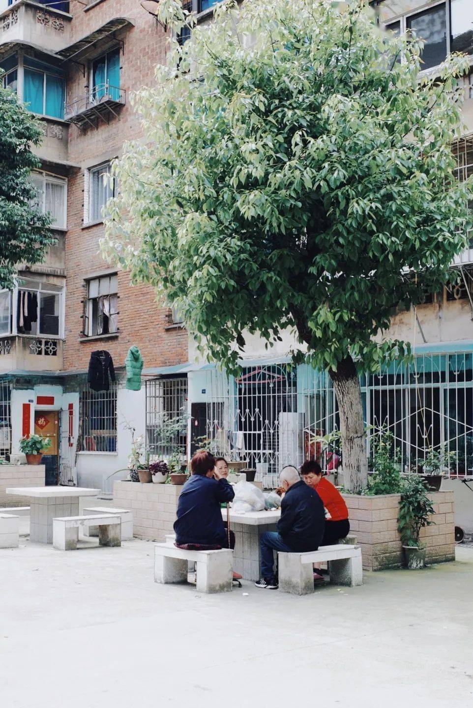 贵阳故事(十八)|虎门巷:但得人间烟火_巷子_居民_社区