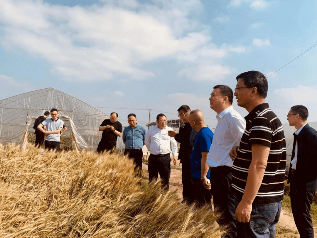 八宝镇:三级代表助力产业育人_松滋_中洲_发展