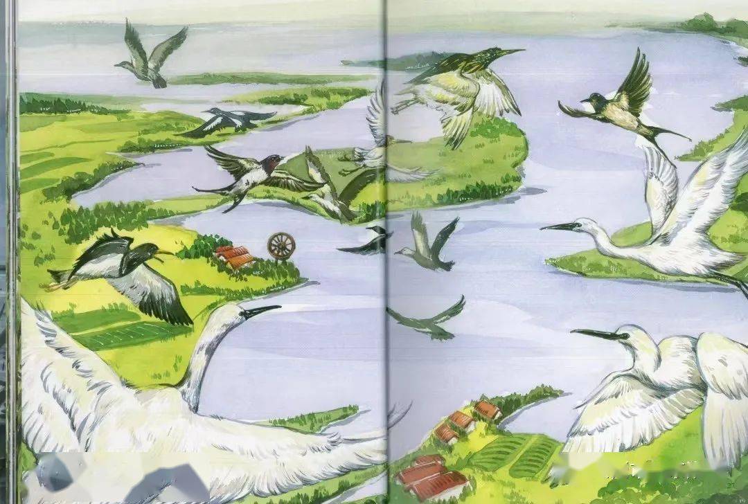 《喜鹊湖》——城东附幼"童心童话"有声绘本第三期_故事_泰州_导读