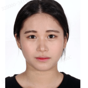 浙0305执26号住址:洞头区北岙街道执行标的额:29万元及利息苏雪萍案号