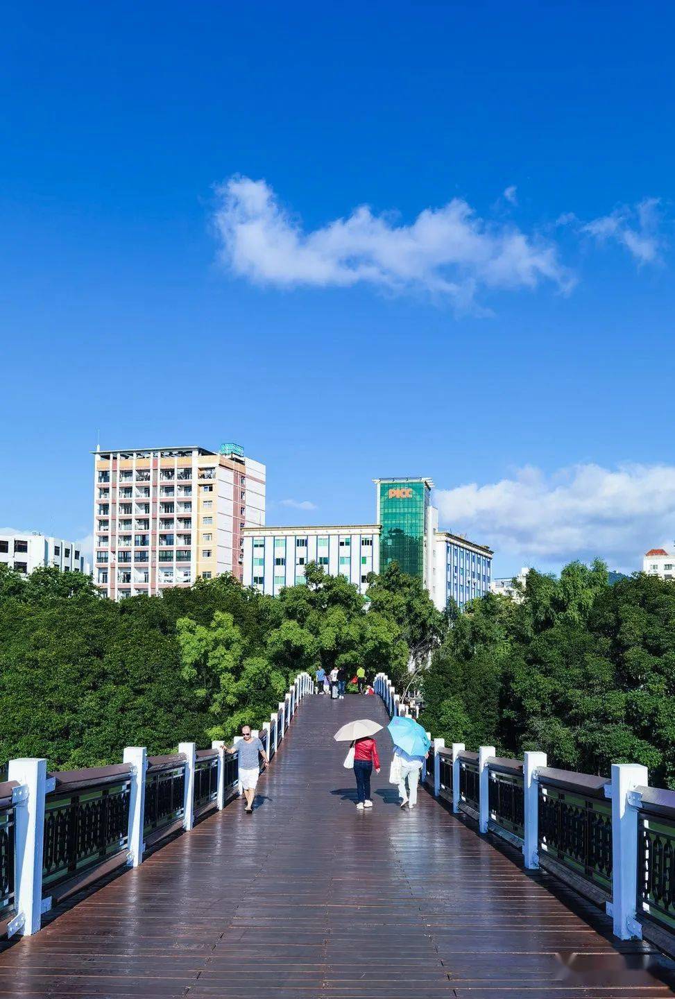 海南行41三亚白鹭公园随拍