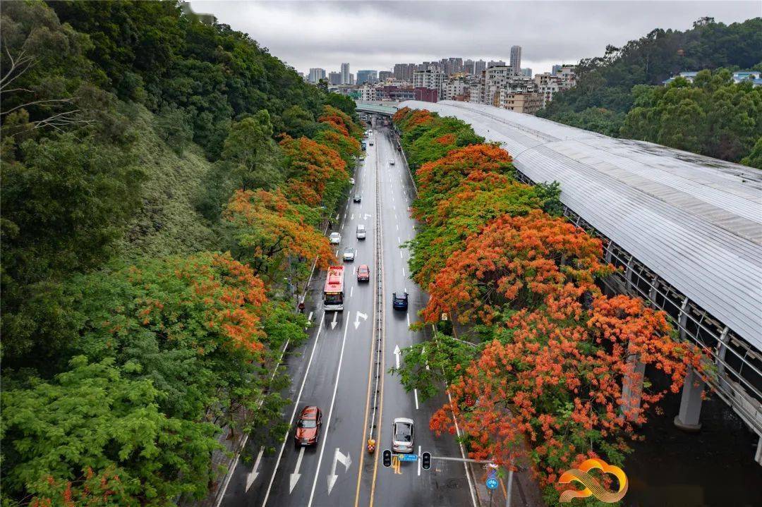 地點:南村孖祠堂,白雲大道,同泰路,機場立交北,廣州城市規劃展覽中心