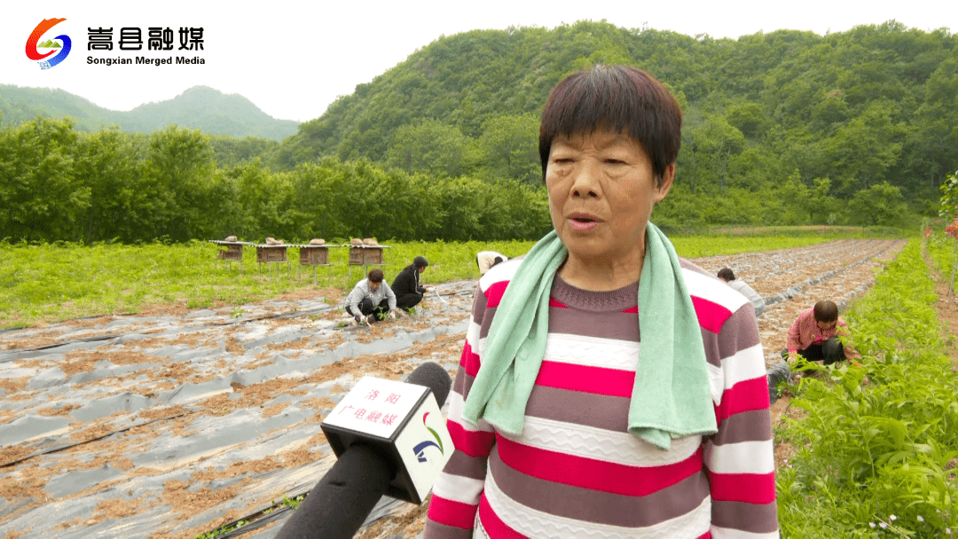 嵩县车村镇两河口村村民 杨保珍:近年来,嵩县车村镇坚持以富民为导向