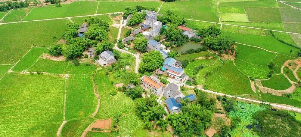 "晒文化 晒旅游"|三驱镇三大"作品"今晚正式上线!_文旅_大足_石刻