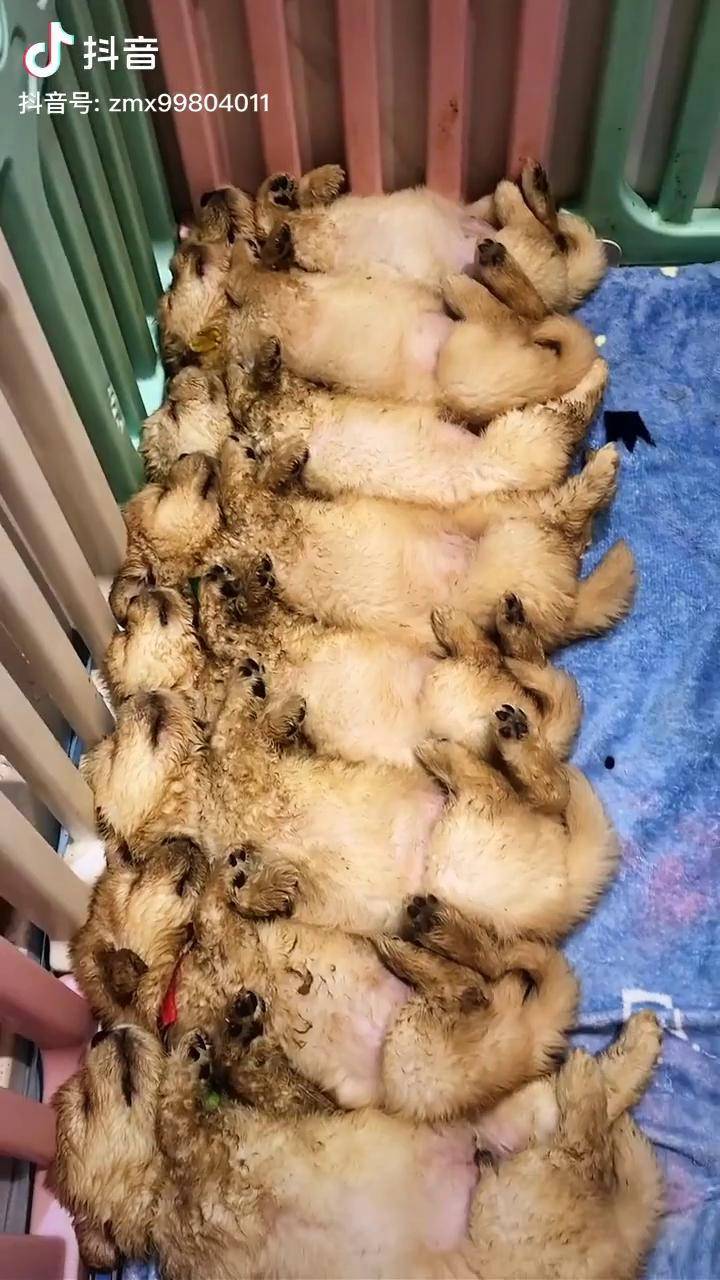 这么埋汰孩子估计是没人敢要了