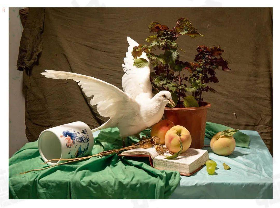 征战联考3色彩静物横构图张国政回归本质的形体色于一体贴合考题方向