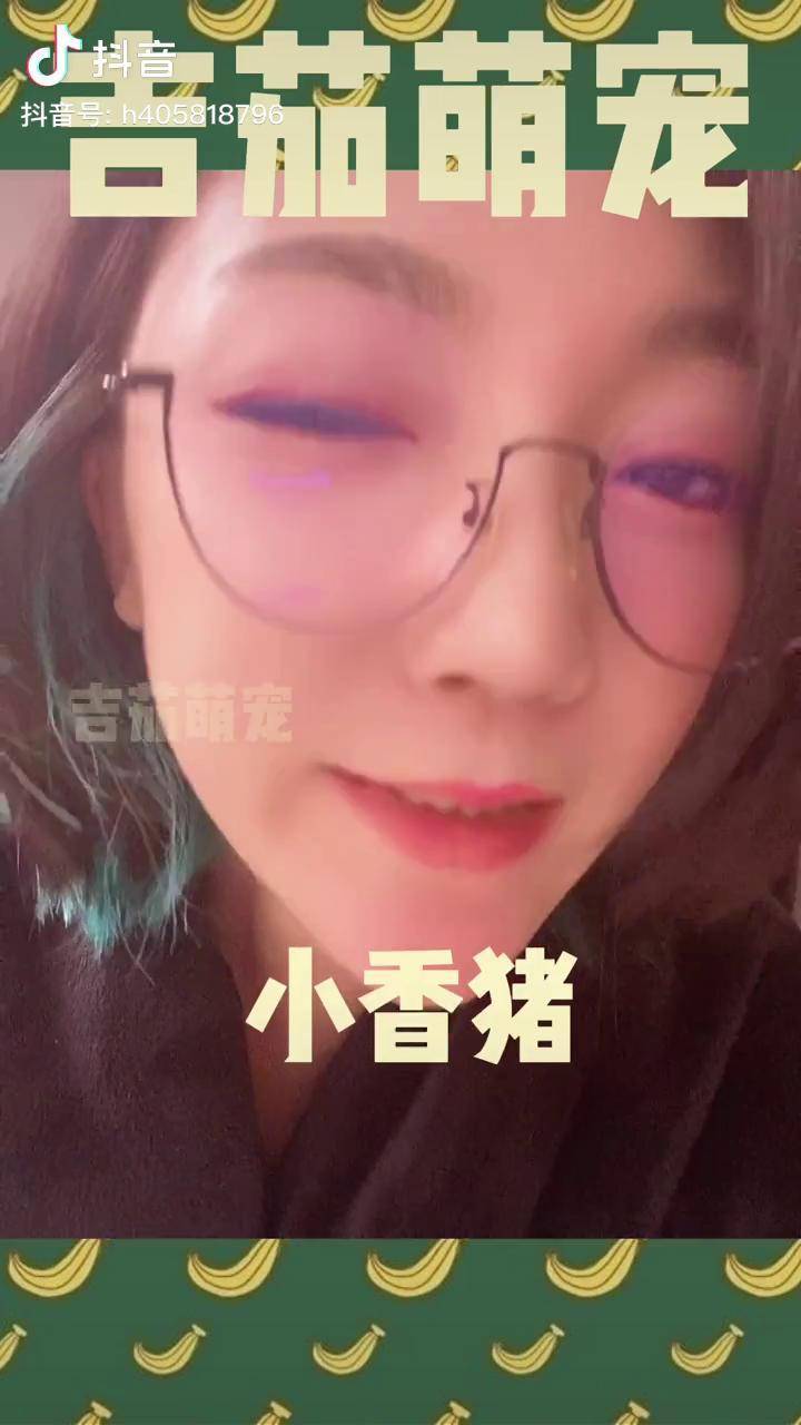 小香猪宠物成精了70斤也不小哇