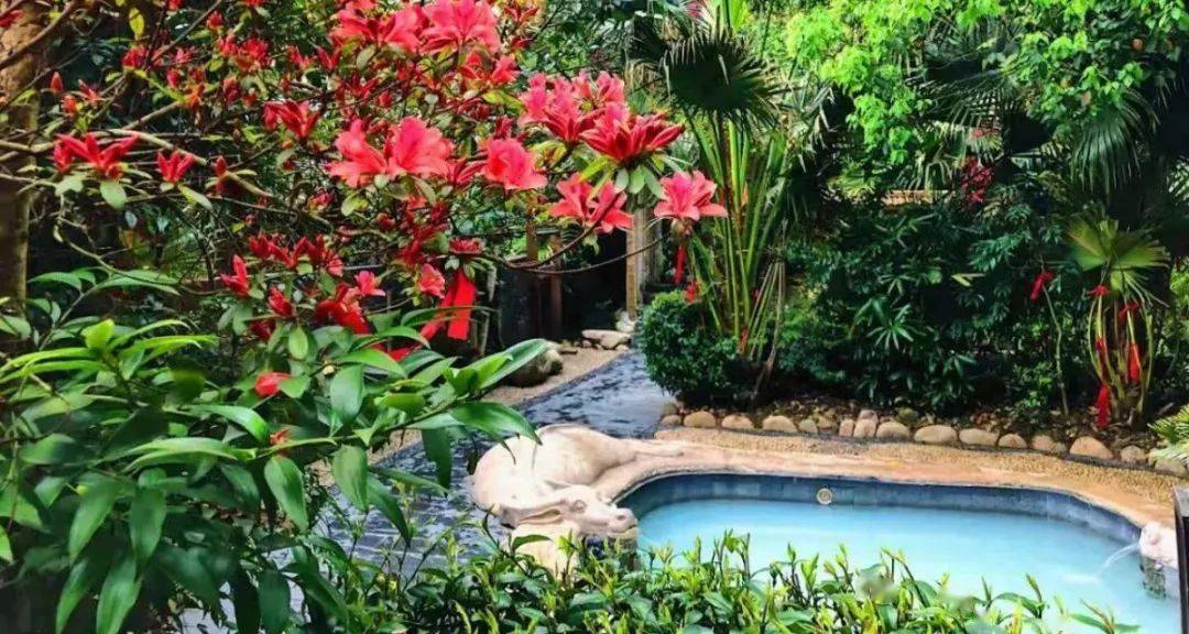 莽山 五指峰,高椅岭,小东江>1499元一价全包纯玩三天~_观光_温泉_休闲