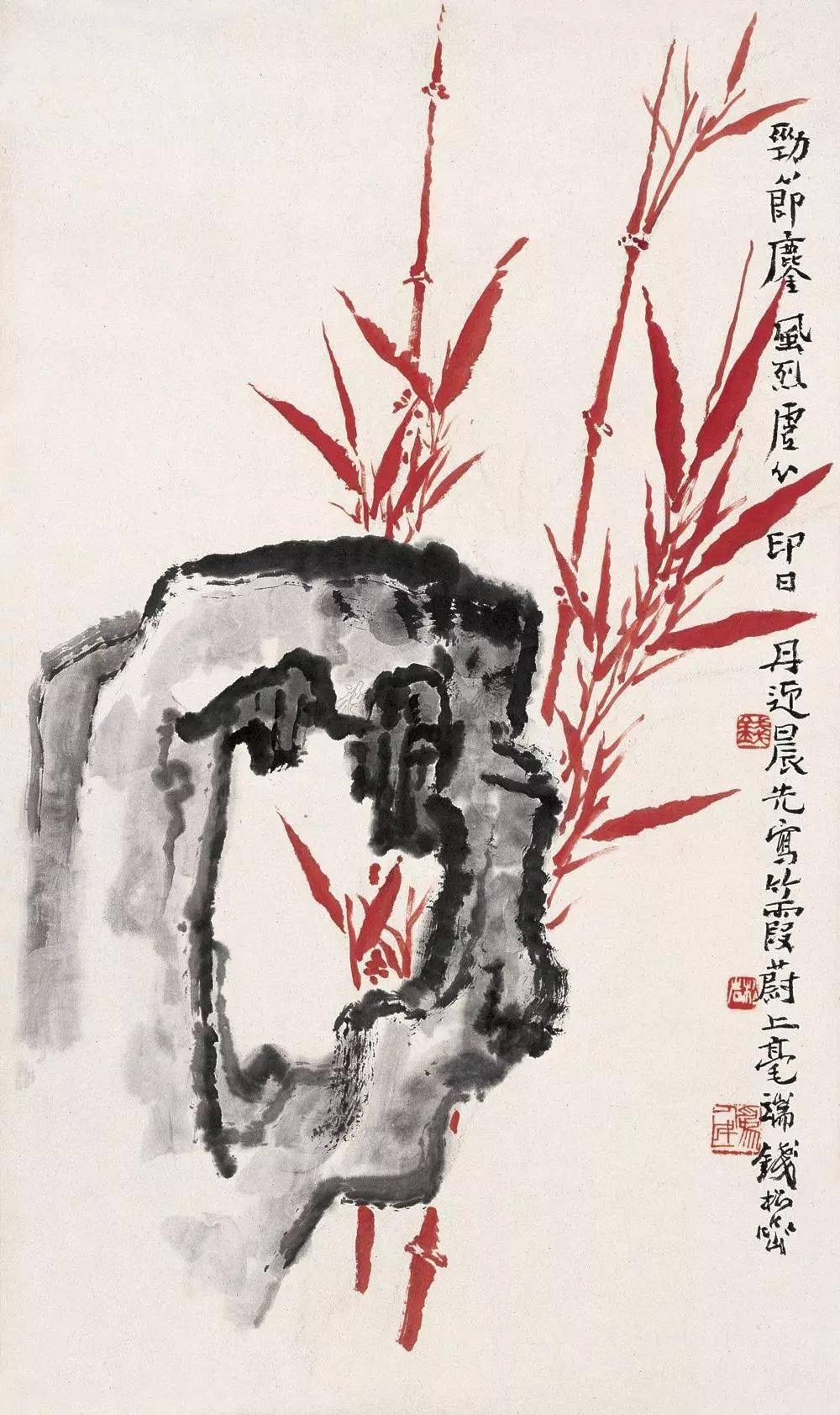 朱竹！_搜狐网