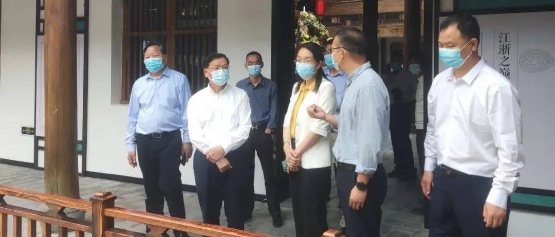 丽水市人大常委会副主任潘碧武来龙调研_龙泉市_建设_民意