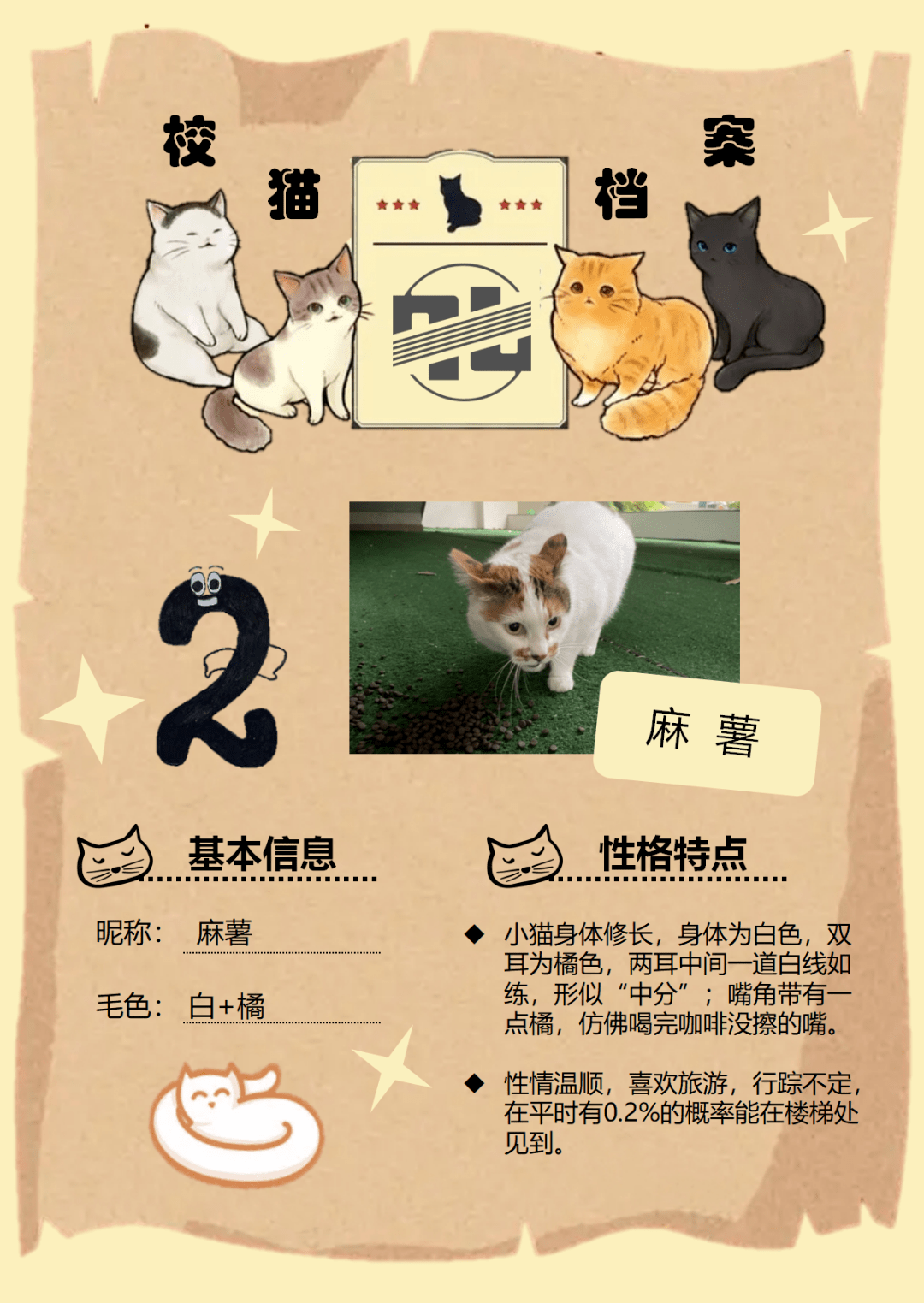 你们期待的校猫档案来啦!_审核_工作_猫云