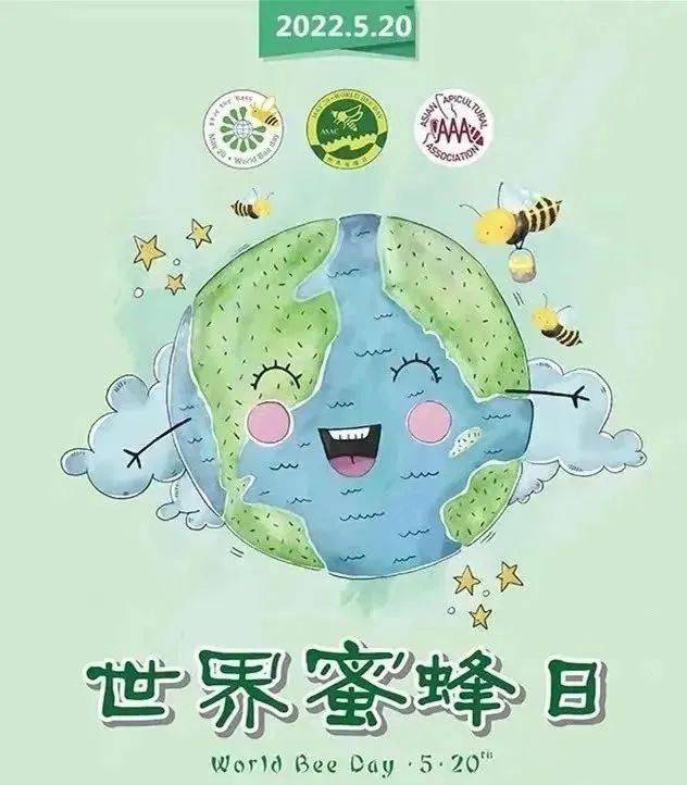 520蜜蜂日你家孩子对蜜蜂相关的知识了解吗