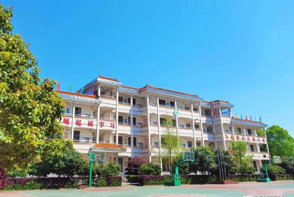 关于衡阳市珠晖区英发学校,你关心的,都在这里~_宿舍_独立_小学部