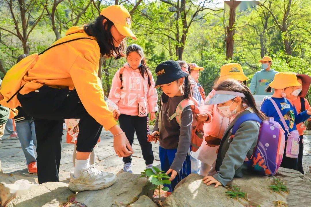 云台山景区为所有生命构建共同未来为子孙后代打造缤纷世界