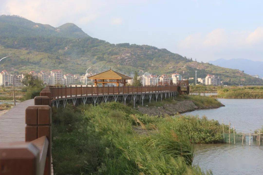 溫泉_夏日_樹林