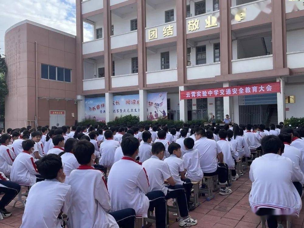 云霄实验中学校花图片