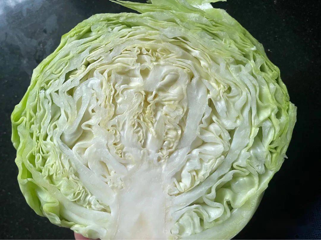 软包切开是紧实型的平包切开是松软型的我们总是比较关注油菜花,因而