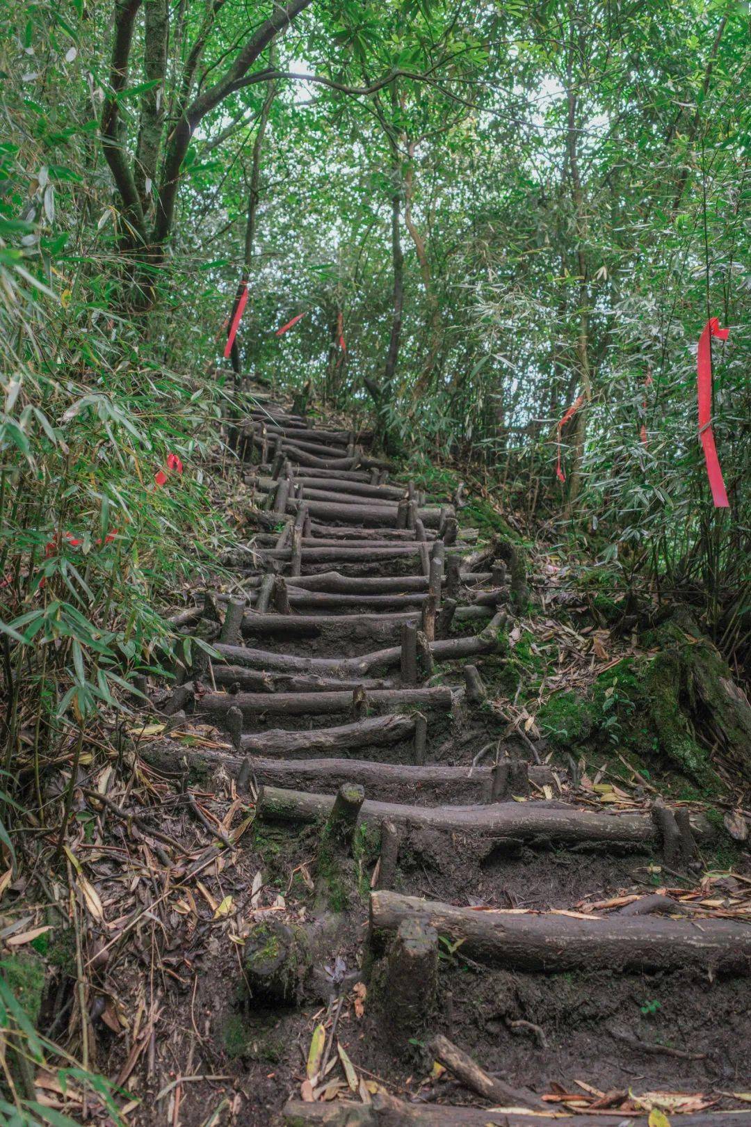 赵公山景区图片图片