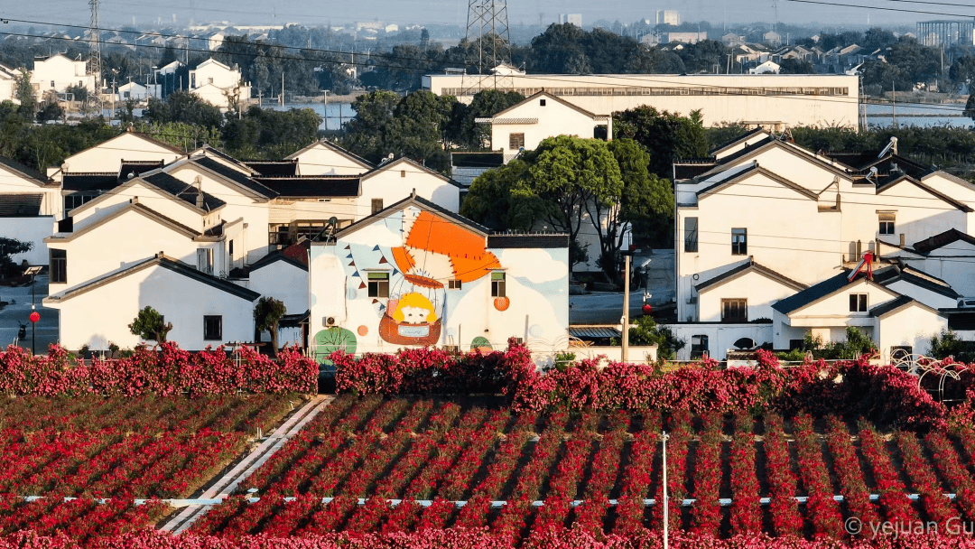 宜兴市徐舍镇美栖村图片