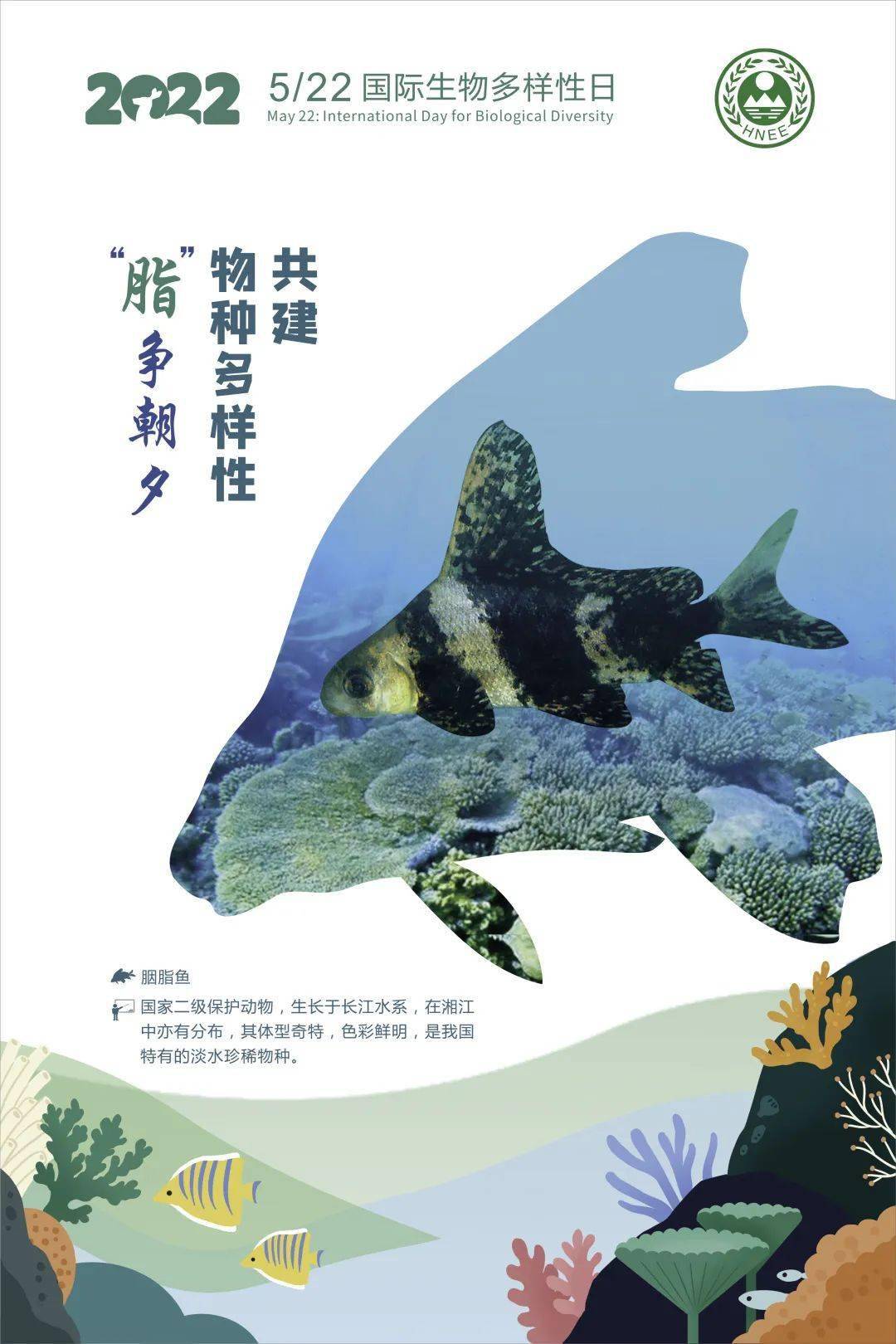 522国际生物多样性日湖南主题海报展物种篇