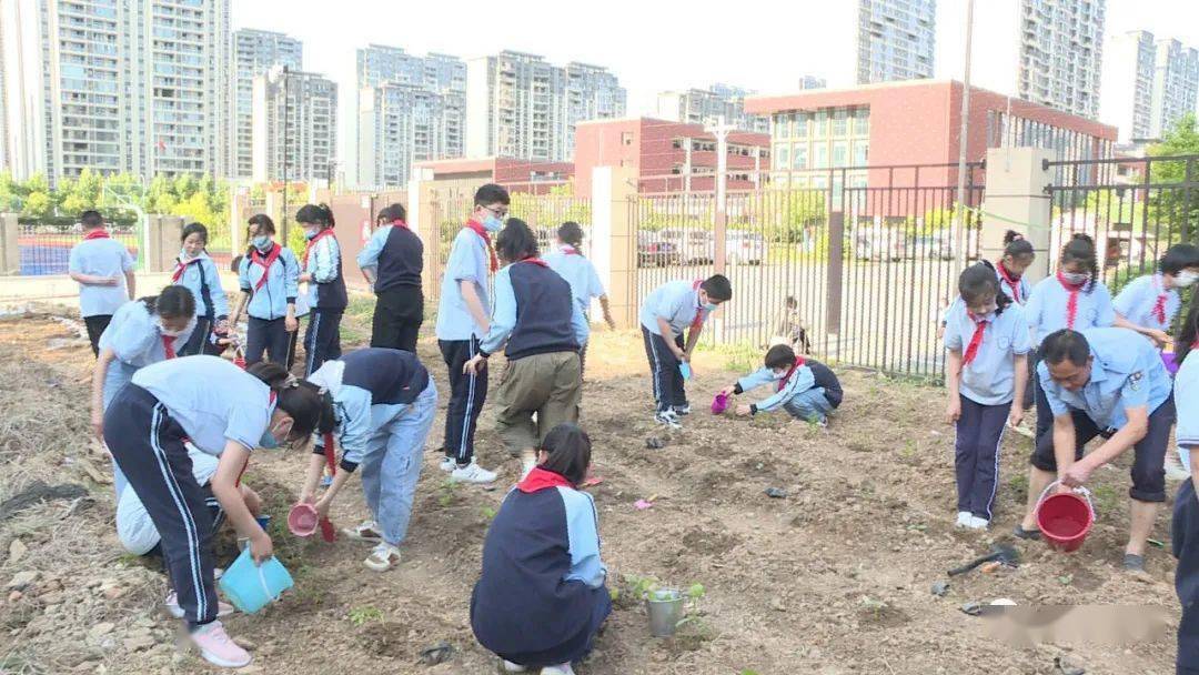 闽江路小学图片