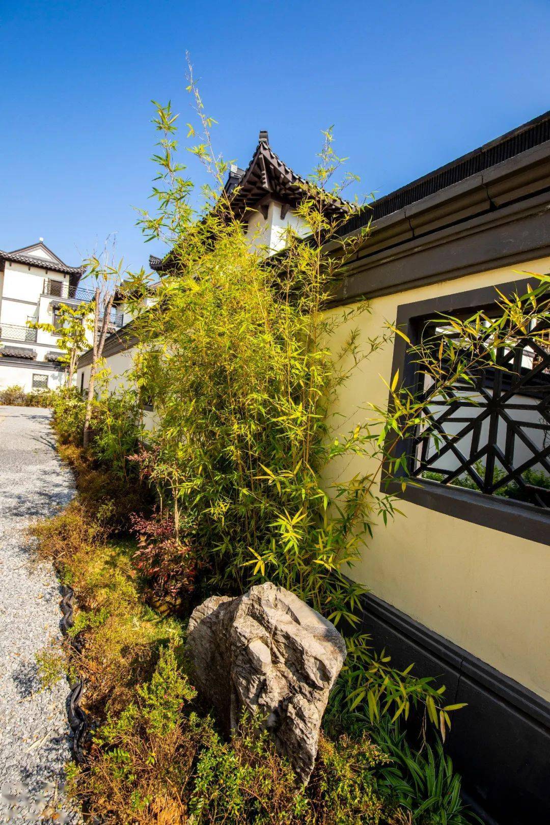 田州古城华府丨聆听初夏合院物语遇见美好惬意生活