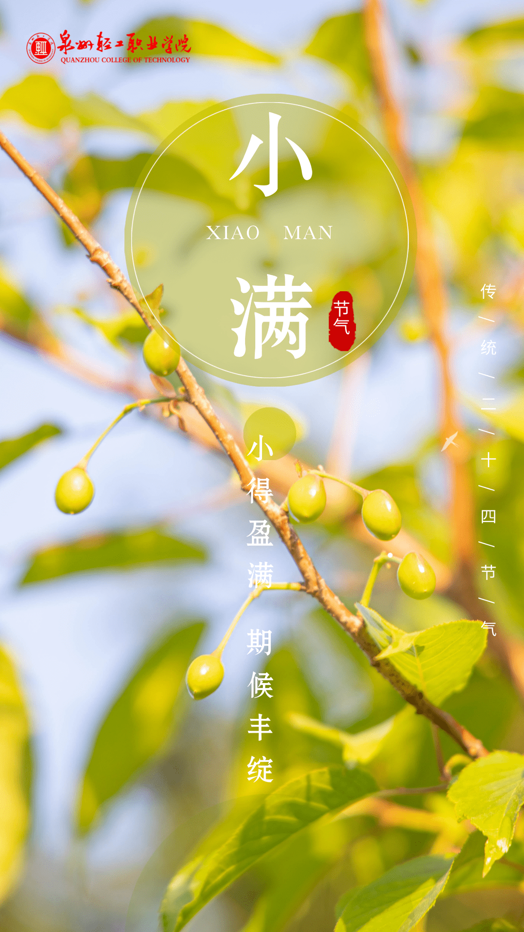 今日小满人生最好是小满