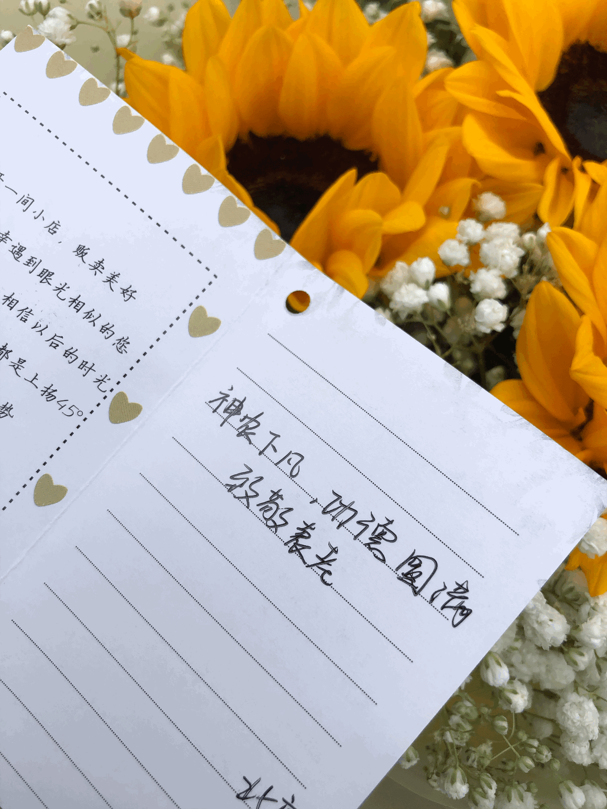 还有一束鲜艳的向日葵,贺卡里写着"神农下凡,功德圆满,致敬袁老",落款