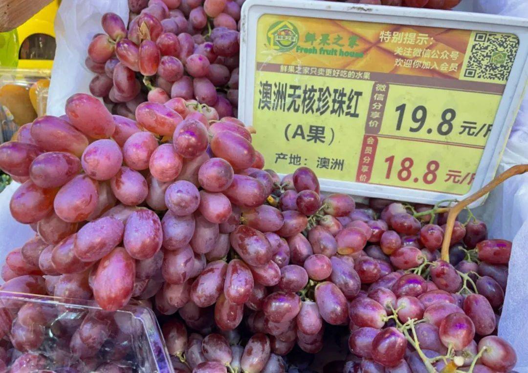 文章配圖-1